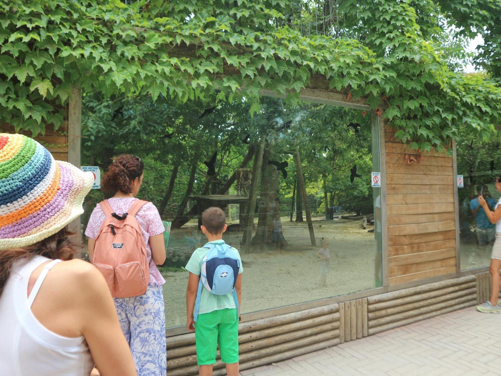 리그나노 사비아도로 Carinzia 아파트 외부 사진